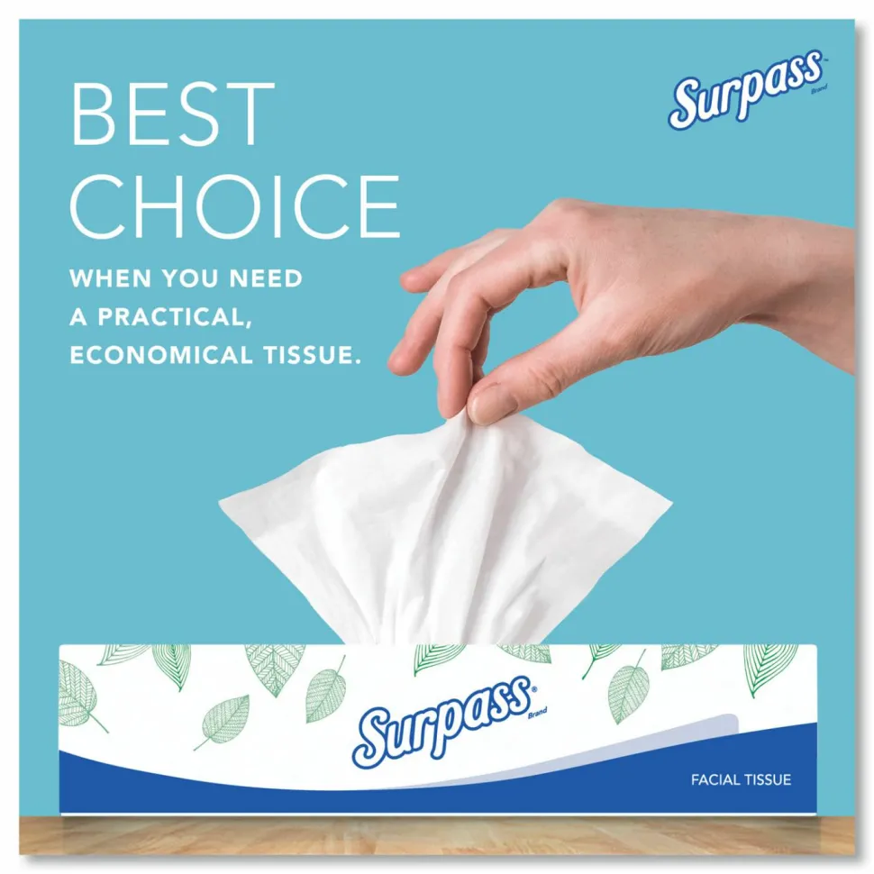 Surpass 2-Ply Facial Tissue, Unscented, 100 Tissues Per Box, Case of 30 Boxes
