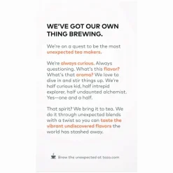 Tazo Wild Sweet Orange Herbal Tea Bag