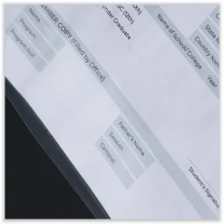 Universal Standard Sheet Protectors, Medium-Duty, Side: 3-Hole Punched, Top Load 8.5 x 11 Insert, Clear Front, 100/Box