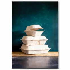 Vegware Nourish Molded Fiber Takeout Containers, , 3 Compartments, 9 x 9 x 3, White, Sugarcane, 200/Carton