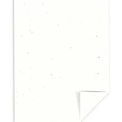 Wausau Astrobrights Inkjet/Laser Print Color Paper, Letter Size (8 1/2" x 11"), 24 Lb, Stardust White, Ream Of 500 Sheets