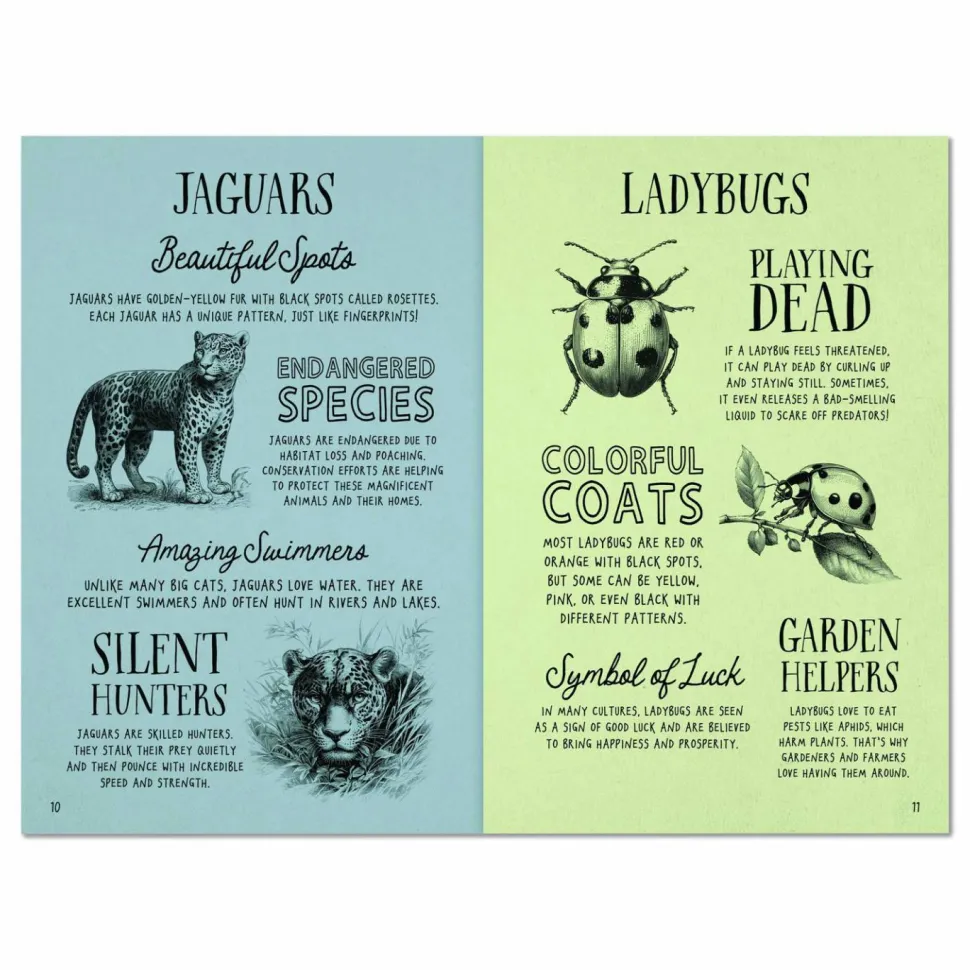 Willow Creek Press Animal Facts for Kids Softcover Book, Paperback, 112 Pages