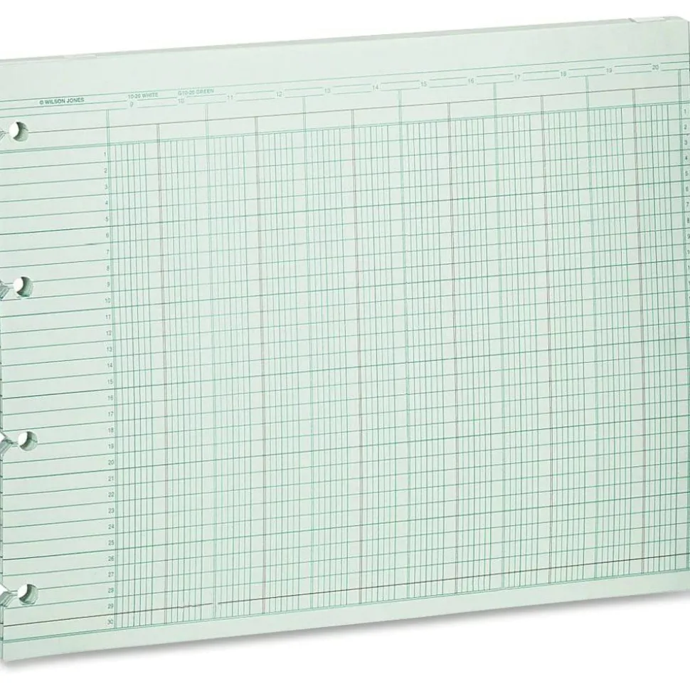 Wilson Jones Columnar Ruled Sheets, 4-Hole, 30 Lines, 20 Columns, 9 1/4" x 11 7/8, Ledger Size, Brown, Pack Of 100
