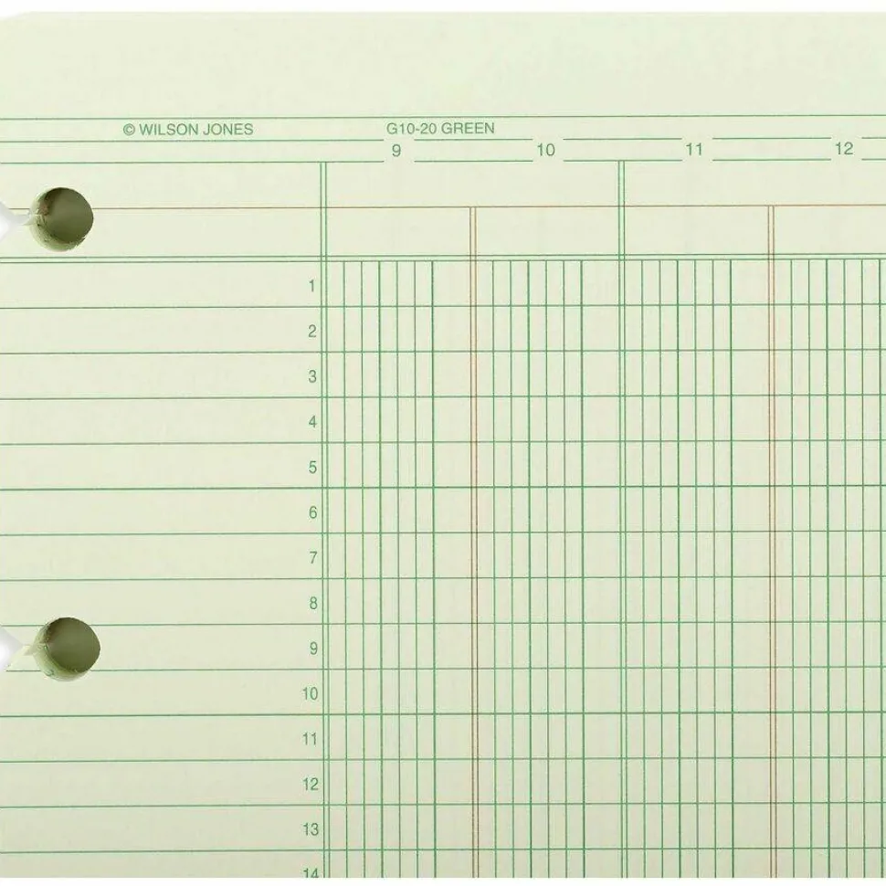 Wilson Jones Columnar Ruled Sheets, 4-Hole, 30 Lines, 20 Columns, 9 1/4" x 11 7/8, Ledger Size, Brown, Pack Of 100