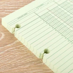 Wilson Jones Columnar Ruled Sheets, 4-Hole, 30 Lines, 20 Columns, 9 1/4