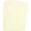 Wilson Jones Ledger Paper, For 395-11/396-11/0399-00, 8-1/2" x 11", Ivory, Box Of 100 Sheets