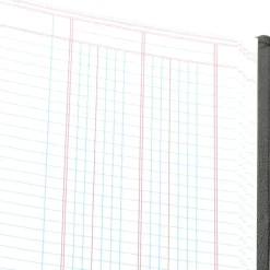 Wilson Jones Single Page Columnar Book, 9 1/4
