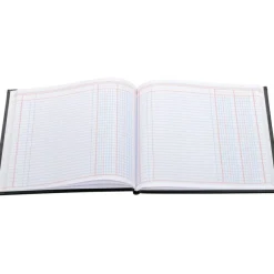 Wilson Jones Single Page Columnar Book, 9 1/4