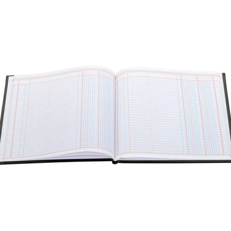 Wilson Jones Single Page Columnar Book, 9 1/4" x 7", 2 Columns, 40 Sheets