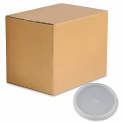 WinCup Plastic Lids for Foam Cups and Bowls, Slotted, Fits 8 oz to 10 oz Hot Cup, Translucent, 1,000/Carton