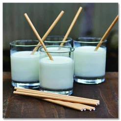 World Centric Kraft Paper Straws, 8
