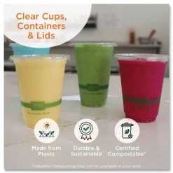 World Centric PLA Hinged Clamshells, 23 oz, 4.9 x 9 x 3.5, Clear, Plastic, 200/Carton