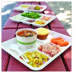 World Centric Fiber Foodservice Trays, 5 Compartments, 8.5 x 10.24 x 1.01, Natural, Paper, 400/Carton