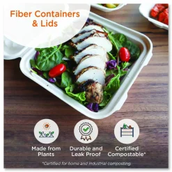 World Centric Fiber Foodservice Trays, 5 Compartments, 8.5 x 10.24 x 1.01, Natural, Paper, 400/Carton