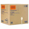 World Centric TPLA Bulk Cutlery, Spoon, Plastic, Light Beige, 1,000/Carton