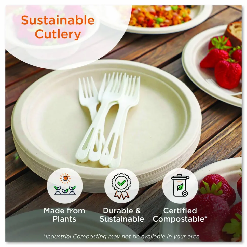 World Centric TPLA Bulk Cutlery, Spoon, Plastic, Light Beige, 1,000/Carton