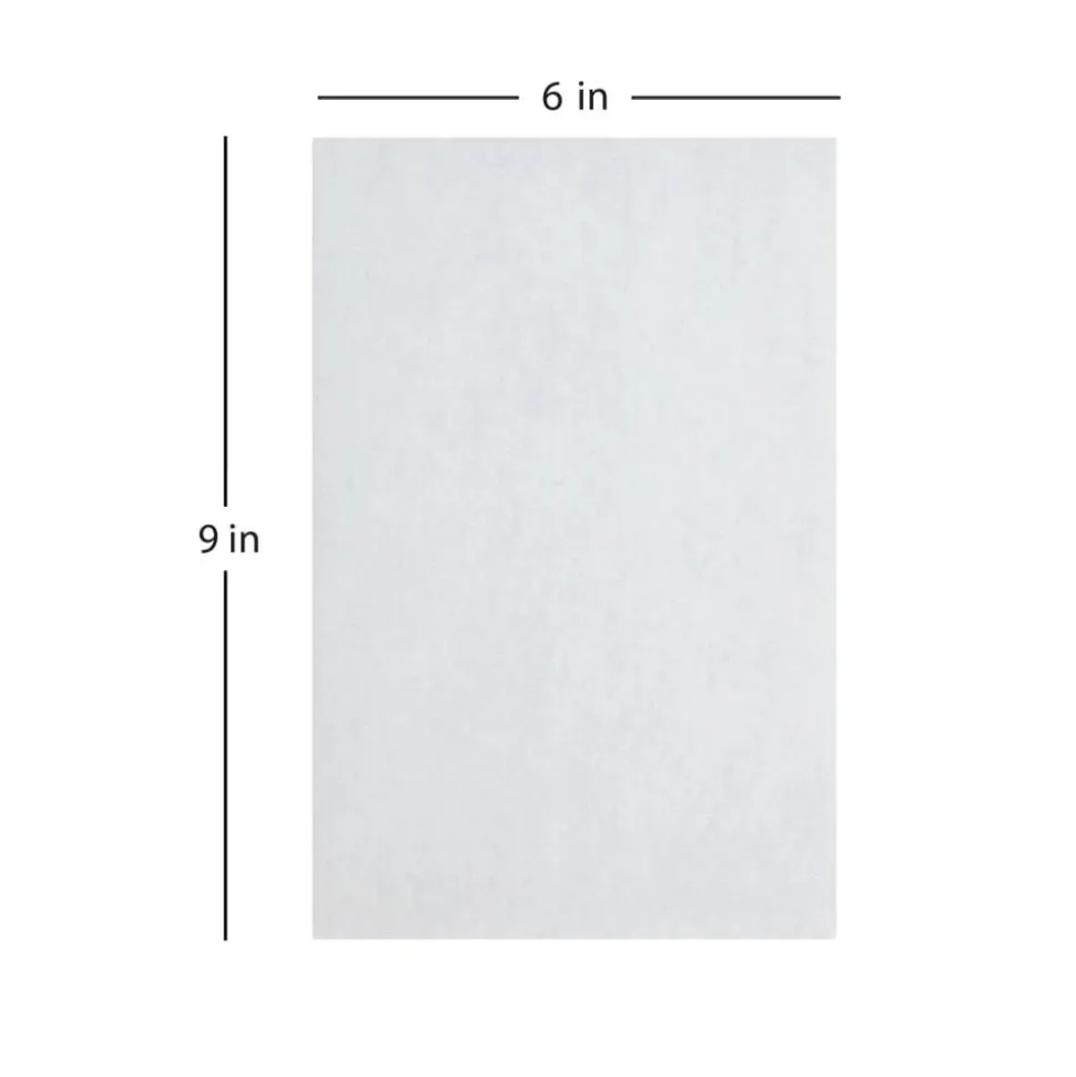 6" x 9" Catalog Envelopes, Clean Seal, White, Security, Box Of 100