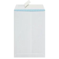 6" x 9" Catalog Envelopes, Clean Seal, White, Security, Box Of 100