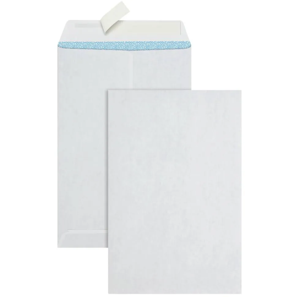 6" x 9" Catalog Envelopes, Clean Seal, White, Security, Box Of 100