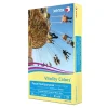 Xerox Vitality Colors Multi-Use Printer & Copy Paper, 1 Ream, Yellow, Legal (8.5" x 14"), 500 Sheets Per Ream, 20 Lb, 30% Recycled