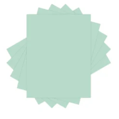 Xerox Vitality Pastel Color Multi-Use Printer & Copy Paper, 10 Reams, Green, Letter Size, 5000 Sheets Per Case, 20 Lb, 30% Recycled - 3R11051-CT