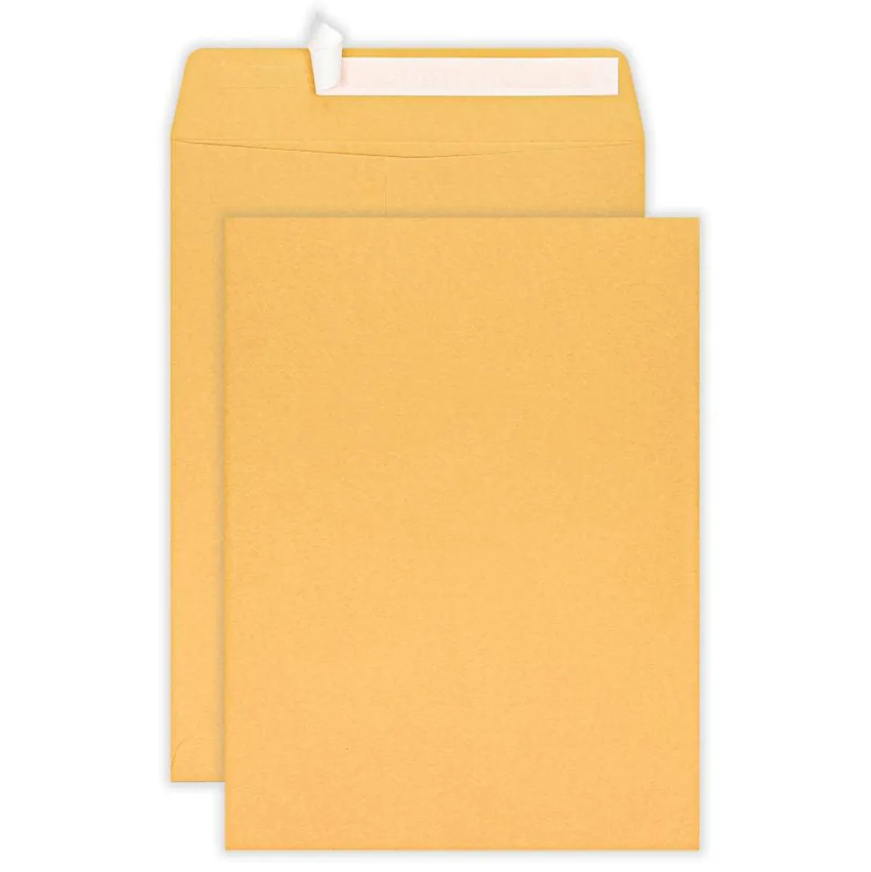 10" x 13" Manila Catalog Envelopes, Clean Seal, Brown Kraft, Box Of 100