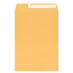 10" x 13" Manila Catalog Envelopes, Clean Seal, Brown Kraft, Box Of 100