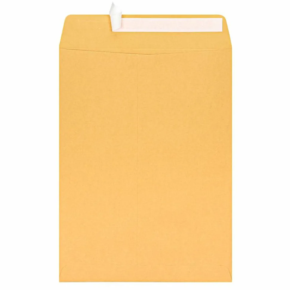 10" x 13" Manila Catalog Envelopes, Clean Seal, Brown Kraft, Box Of 100