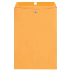 10" x 15" Manila Envelopes, Clasp Closure, Brown Kraft, Box Of 100