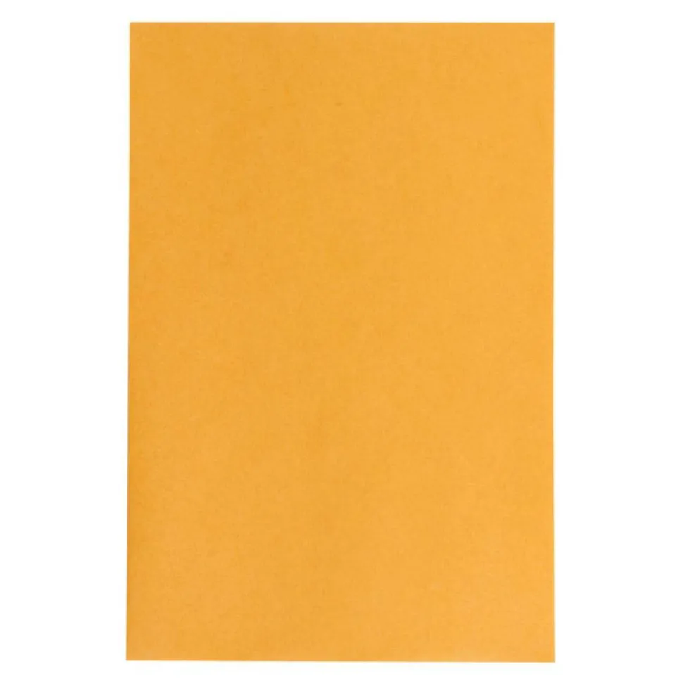 6" x 9" Manila Envelopes, Clasp Closure, Brown Kraft, Box Of 100