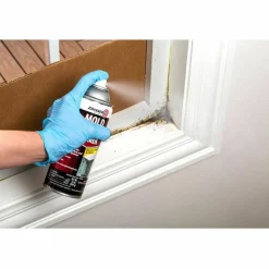 Zinsser Mold Killing Primer